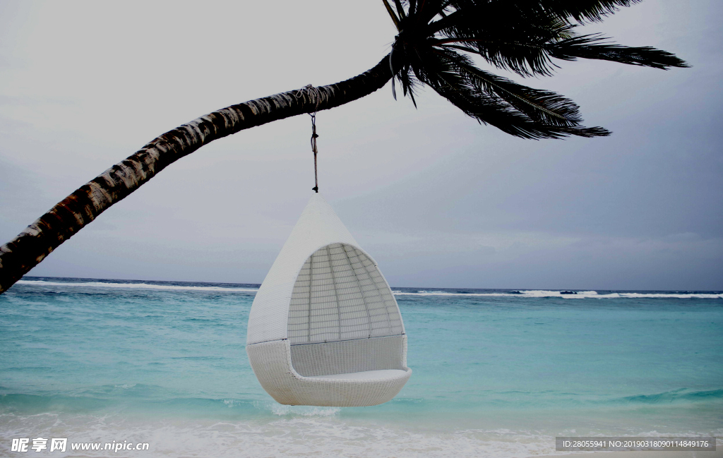 海上椰树和吊篮