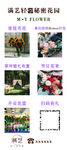 满艺花卉