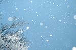 雪花