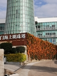 风景