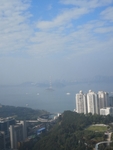 风景桃花