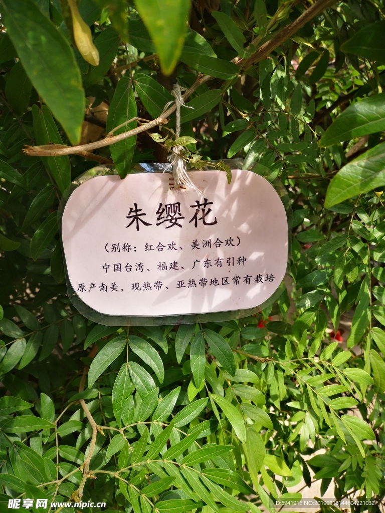 树牌坊