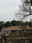风景