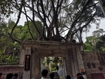 风景