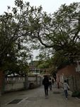 街道