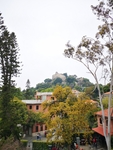 风景