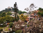风景