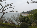 风景