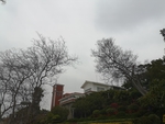 风景