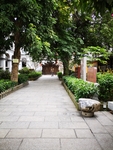 庭院