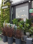 花店