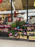 花店