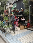 花店