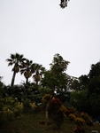 风景