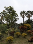 风景