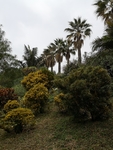 风景