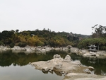 风景