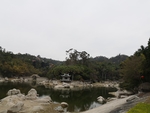 风景
