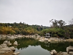 风景