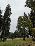 风景