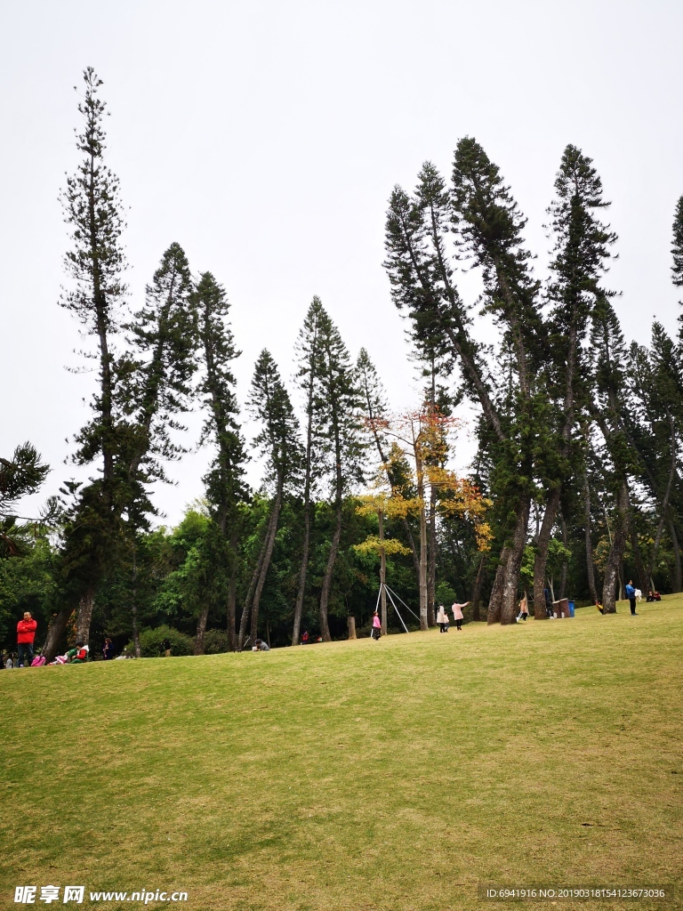 风景