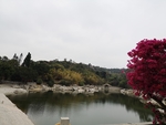 风景