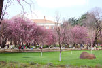 云南大学