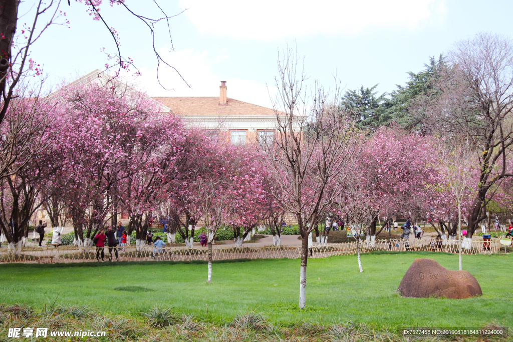 云南大学