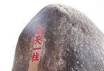 南天一柱