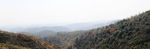 山