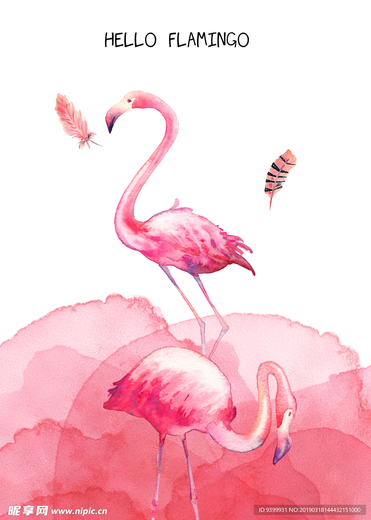 ins水彩手绘现代简约花卉火烈