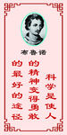 布鲁诺