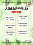 A4单页绿色底融合套餐