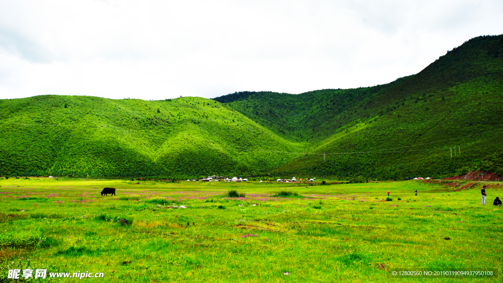 高原