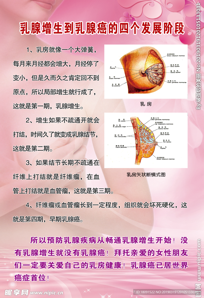 乳腺增生到癌的发展阶段