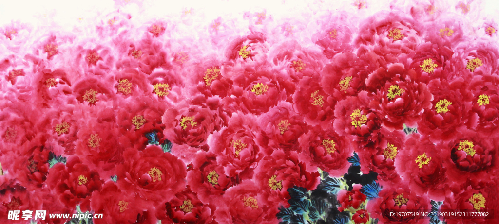 牡丹花海