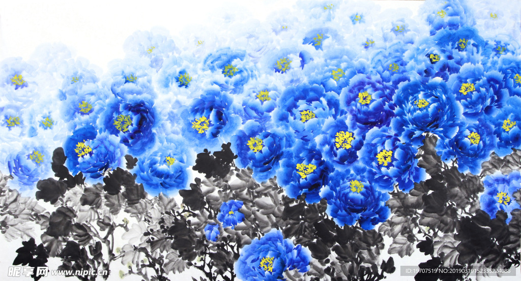 牡丹花海