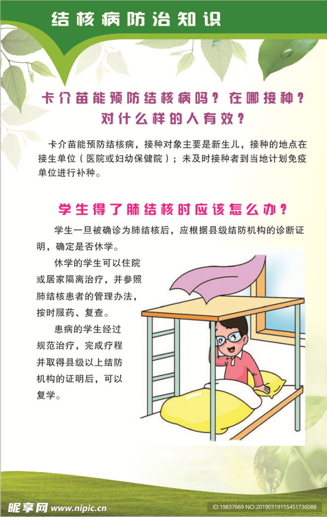 结核病防治知识