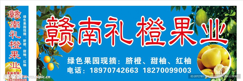 脐橙海报