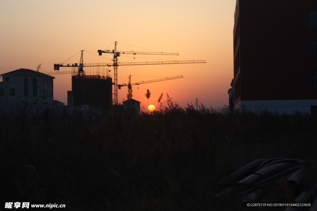 夕阳下的建筑工地芦苇