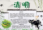 清明节小报