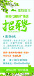 招聘X展架