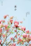 春分海报