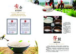 画册 文化   图片 排版