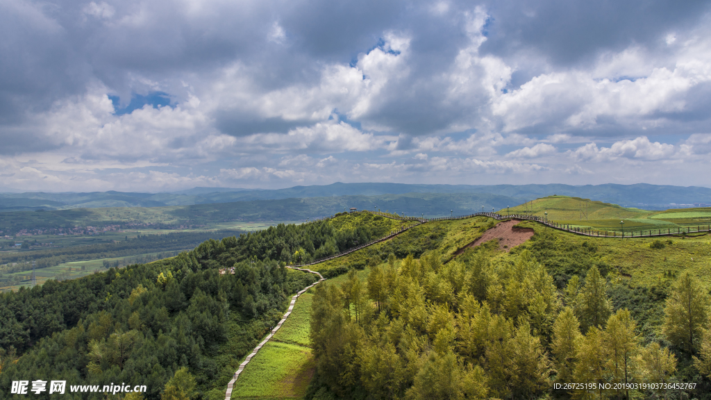 青藏高原夏季原野