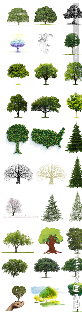绿化绿树素材