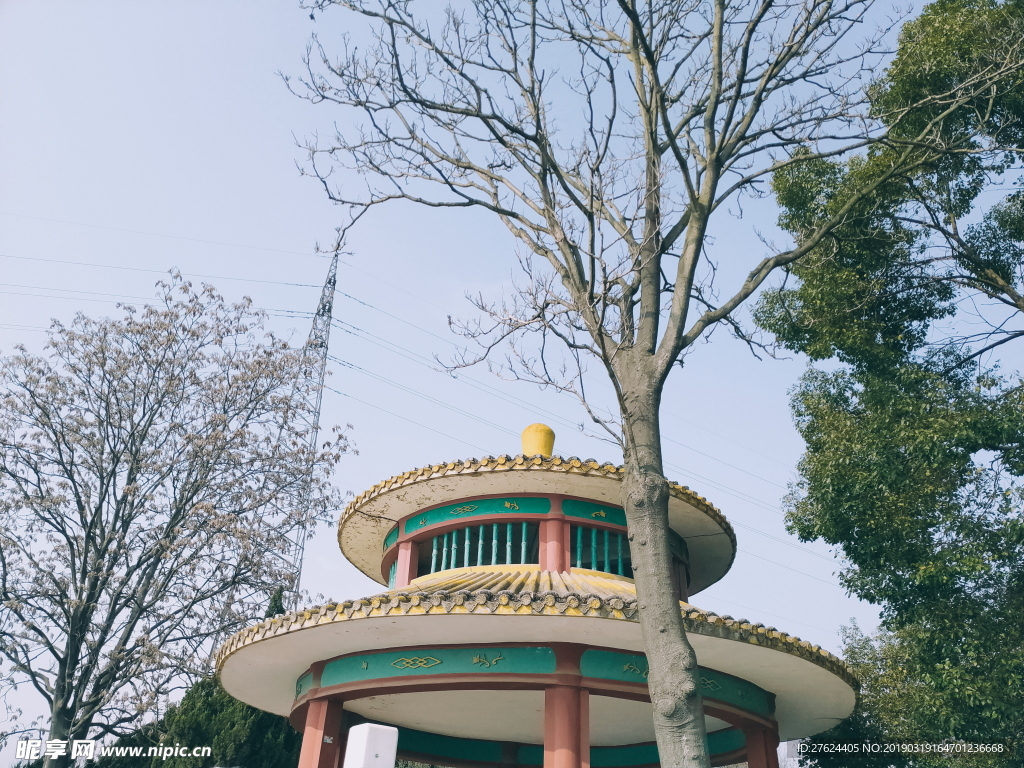 春