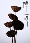 禅意 字体改造