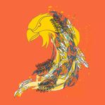 羽毛