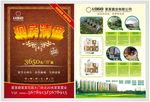 现房清盘